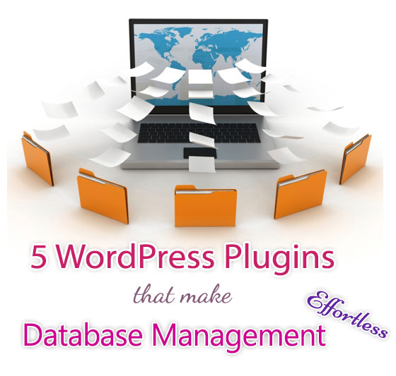 WordPress Plugins That Make Database Management Effortless