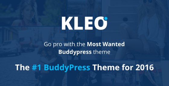 KLEO WordPress Theme