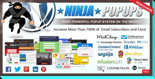 Ninja Popups for Wordpress