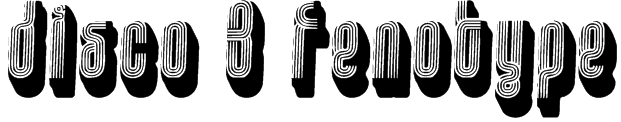 disco 3 fenotype Font