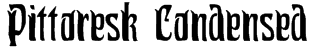 Pittoresk Condensed Font
