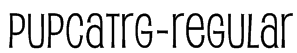 PupcatRg-Regular Font