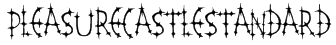 PleasureCastleStandard Font