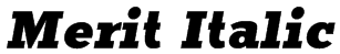 Merit Italic Font
