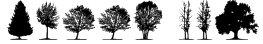 trees TFB Font
