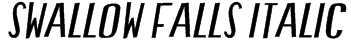 Swallow Falls Italic Font