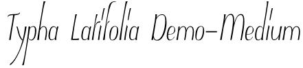 Typha Latifolia Demo-Medium Font