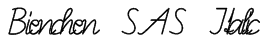 Bienchen SAS Italic Font