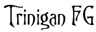 Trinigan FG Font