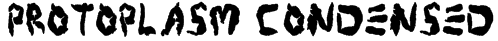 Protoplasm Condensed Font