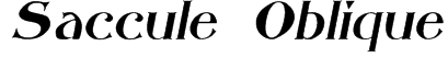 Saccule Oblique Font