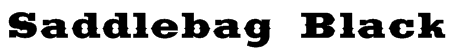 Saddlebag Black Font