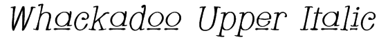 Whackadoo Upper Italic Font