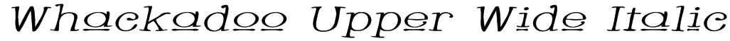 Whackadoo Upper Wide Italic Font