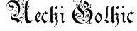 Uechi Gothic Font