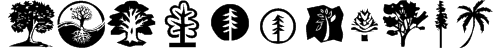 KR Trees Font