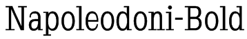 Napoleodoni-Bold Font