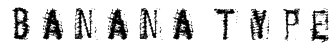 BANANA TYPE Font