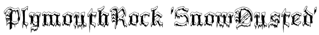 PlymouthRock 'SnowDusted' Font