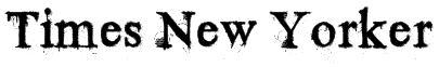 Times New Yorker Font