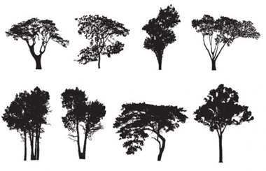 clean,clear,creative,download,graphic,illustration,illustrator,nature,new,original,pack,photoshop,vector,simple,detailed,modern,unique,vectors,ultimate,ultra,trees,quality,eco,fresh,high quality,vector graphic,est,silhouettes vector
