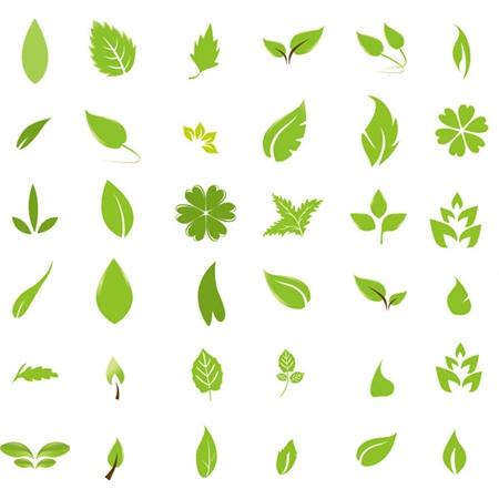 creative,design,download,elements,eps,graphic,green,illustrator,leaf,new,original,plant,set,tree,vector,web,detailed,interface,unique,vectors,leaves,quality,stylish,fresh,high quality,ui elements,hires,green leaves vector