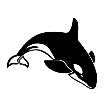 creative,download,illustration,illustrator,original,pack,photoshop,vector,diving,modern,whale,unique,vectors,quality,orca,fresh,high quality,vector graphic,killer whale vector