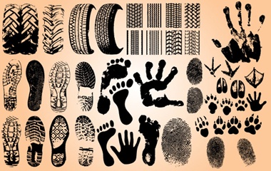 grunge,vector,feet,vectors,paw print,paws,foot,prints,footprint,hand print,tires,bird claws,boot track,tire track vector