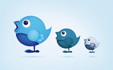 bird,cute,set,social,twitter,vector,cartoon,vectors,icon,twitter bird vector