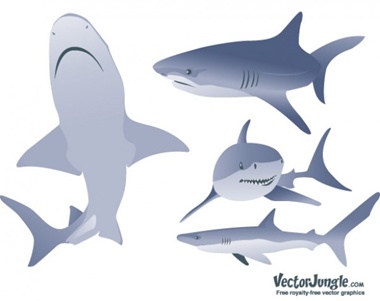 creative,design,download,illustration,illustrator,images,new,original,pack,photoshop,vector,web,modern,unique,vectors,ultimate,icons,quality,fresh,high quality,vector graphic,silhouettes,realistic,sharks vector