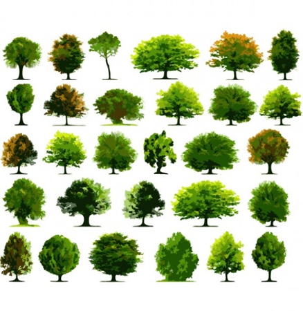 creative,design,download,green,illustration,illustrator,nature,new,original,pack,photoshop,tree,vector,web,modern,unique,vectors,ultimate,quality,fresh,high quality,vector graphic,est,variety vector