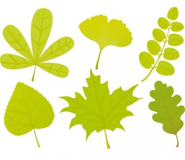 creative,design,download,graphic,green,illustrator,leaf,nature,new,original,set,tree,vector,web,unique,vectors,ultimate,leaves,quality,eco,stylish,collection,ecology,fresh,high quality vector