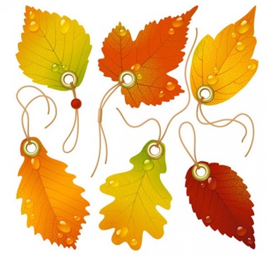 bookmark,eps,leaf,photoshop,psd,vector,vectors,beautiful,autumn,maple,high quality,in detail,texturized,vector leaves vector
