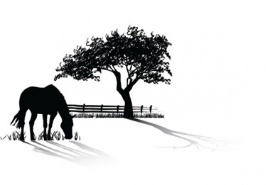 creative,design,download,elements,eps,graphic,horse,illustrator,jpg,new,original,pdf,tree,vector,web,scene,detailed,interface,country,silhouette,unique,vectors,quality,stylish,fresh,countryside,high quality,ui elements,hires,horse grazing vector