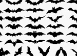 Halloween Silhouette Bats Vector Set