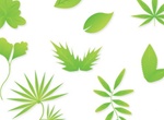 9 Eco Green Leaves Vector