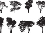 8 Tree Silhouette Vector Pack