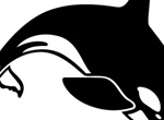 Diving Killer Whale Vector Graphic
