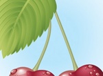 Juicy Red Cherries Vector Illustration