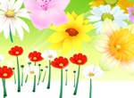 Spring Flower Bouquet Vector Illustration