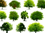 30 Varieties Of Vector Tree Illustrations