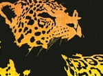 Exotic Jaguar Jungle Cat Vector