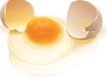 Realistic Broken Egg Vector Graphic