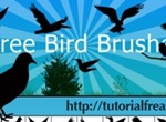 Free Bird Brushes