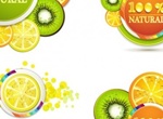5 Juicy Citrus 100% Natural Vector Slices