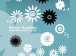 Vector Flower Brushes