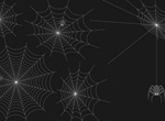 Authentic Spider Web Vector Set