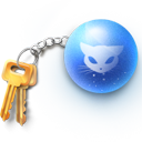 Chain, Key Icon