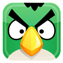 Angry, Bird, Green Icon