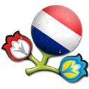 Euro, Netherlands Icon